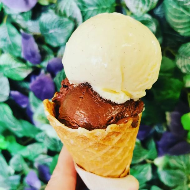 Glace artisanale - L'Emportée